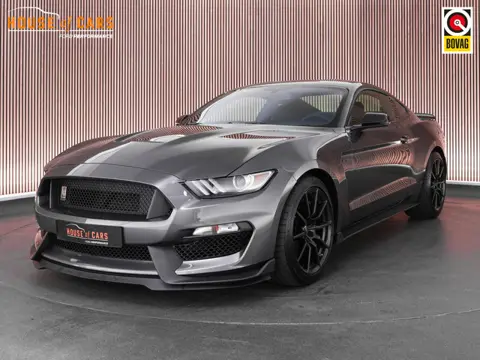 Ford Mustang Shelby GT350 5.2 533pk V8 |clean Carfax|volledige documentatie|Apple Carplay|stoelventi