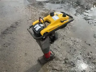 WACKER NEUSON BS50-2 (bj 2020)