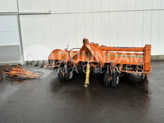 Struik 4RF/310 ruggenfrees 4 x 75 cm