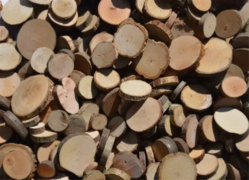 Boomschijfjes houtschijfjes hout boom motoriek