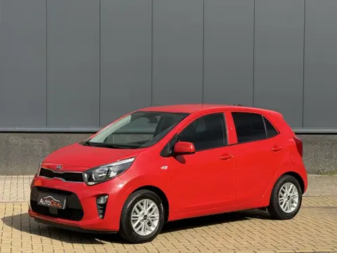 Kia Picanto 1.2 CVVT DynamicPlusLine (bj 2019, automaat)