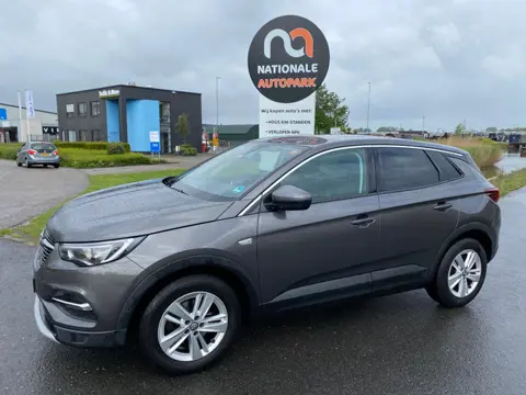 Opel Grandland X 2020 * 1.2 Turbo Business Executive * KOPPAKING PROBLEEM!