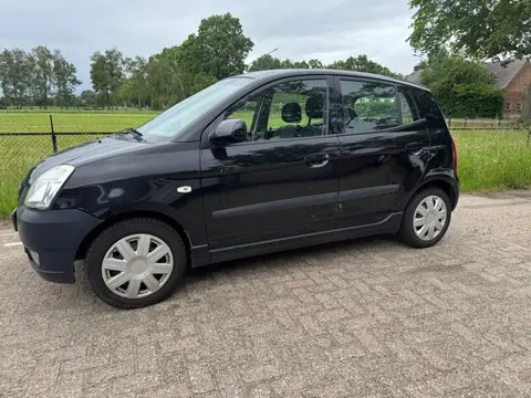 Kia Picanto 1.0 Bling, apk 10-2026, deuk li achterdeur, motorkap steenslag