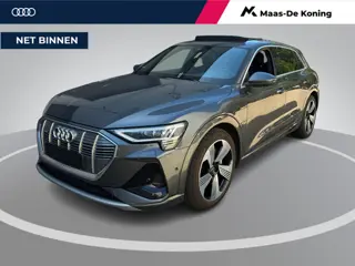 Audi e-tron 55 408pk Quattro S edition 95 kWh · Panoramadak · 360 Camera · B&O Audio · Stoelverwarmi