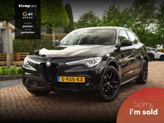Alfa Romeo Stelvio 2.0 T AWD 280PK | Raggazzon | Zeer Netjes! | Leer | All-Black | Ti-Difusser.