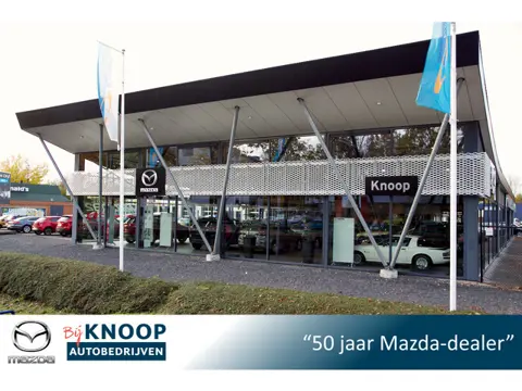 Mazda MX-30 e-SkyActiv 145 Comfort 36 kWh |SOH 96% | Eerste eigenaar | Dealeronderhouden