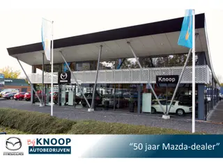 Mazda MX-30 e-SkyActiv 145 Comfort 36 kWh |SOH 96% | Eerste eigenaar | Dealeronderhouden