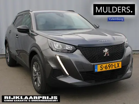 Peugeot 2008 1.2 PT 100 Style CAMERA/NAVI/DAKRAILS