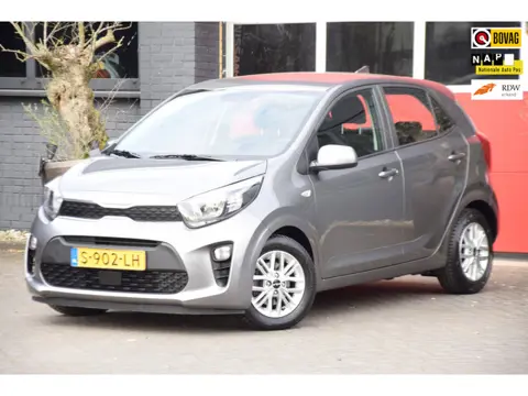 Kia Picanto 1.0 DPi DynamicLine 2023 carplay navi Camera