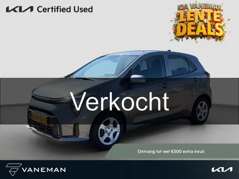 Kia Picanto 1.0 DPI DynamicLine Automaat Navi | Camera | Cruise | PDC | Android Auto / Apple Carplay