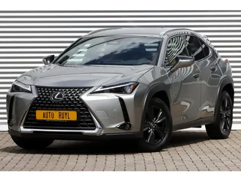 Lexus UX 300h Luxury Line Leer / Navi / Carplay (bj 2024)