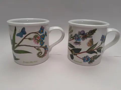 Portmeirion Botanic Garden kleine beker of mok - set van 2