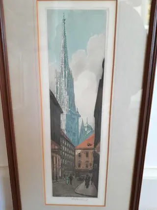 Ingekleurde ets Wenen Stephansdom