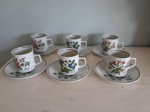 Winterling Botanische kop en schotels  - set van 6 - DE