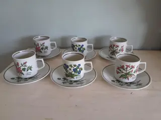 Winterling Botanische kop en schotels  - set van 6 - DE