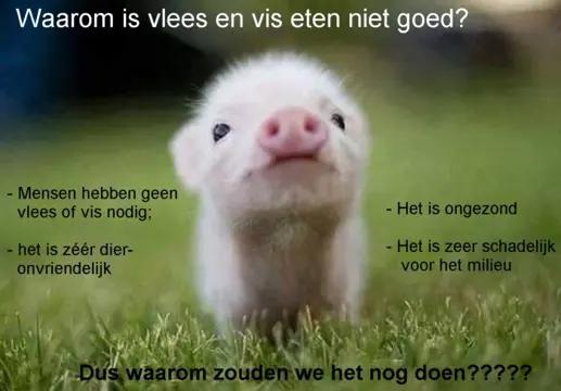 De voordelen van geen vlees of vis eten