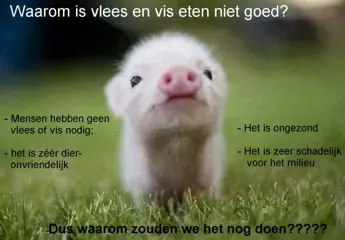De voordelen van geen vlees of vis eten