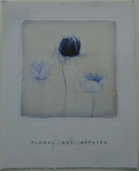 POSTER 25x20 cm BLOEMEN EN HUIS DECO 11 stuks NIEUW