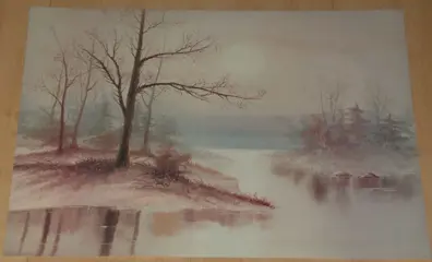 POSTER 50X40 CM FLORA LANDSCHAP 2 stuks NIEUW