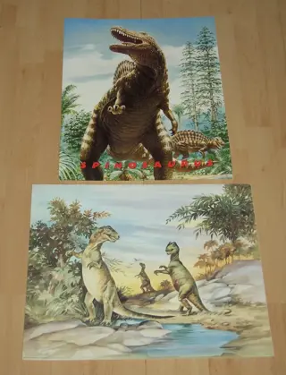 POSTER 50X40 CM KINDER DIVERSEN COLL 2, 9 POSTERS NIEUW