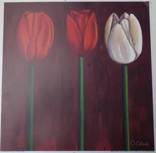 POSTER 30x30 cm THREE TULPS NIEUW