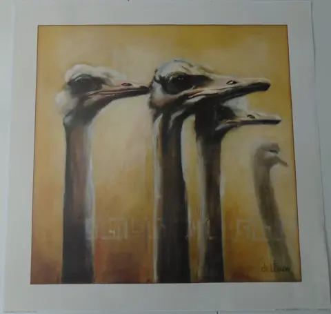 POSTER 50X50 CM DIEREN EN BLOEMEN 7 stuks NIEUW.