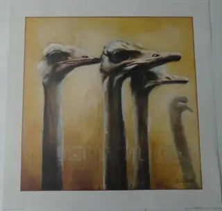 POSTER 50X50 CM DIEREN EN BLOEMEN 7 stuks NIEUW.