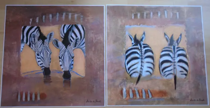 POSTERS ZEBRA SERIE 2 DLG 60 x 60 cm NIEUW.