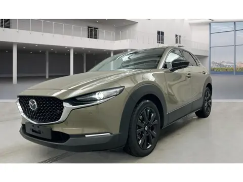 Mazda CX-30 2.5 e-SkyActiv-G M Hybrid Homura Headup/Electr achterklep/Stoelverwarming.