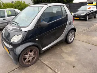 Smart Cabrio Cabrio & passion
