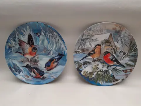 Porseleinen verzamelbord vogels - Hutschenreuther - Ursula Band - wandbord - woondecoratie - set van 2
