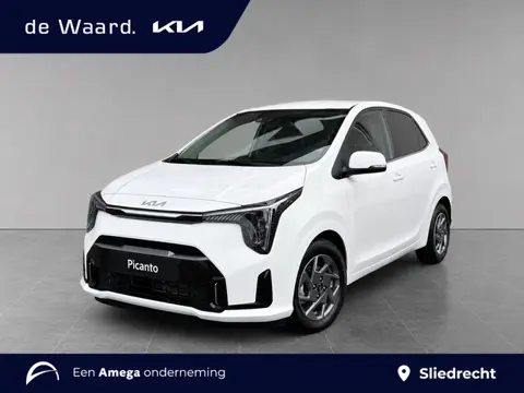 Kia Picanto DynamicPlusLine 1.0 DPI 63pk | €4.000 VOORDEEL | FULL LED | EXTRA GETINTE RAMEN | 14" LM