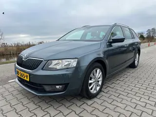 Skoda Octavia 1.0 TSI Greentech Ambition Business, Camera, PDC, Navi, Stoelverwarming,