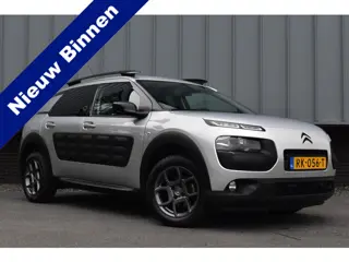 Citroën C4 Cactus 1.2 PureTech Business Plus | Camera | Distr. VV | Stoelverwarming