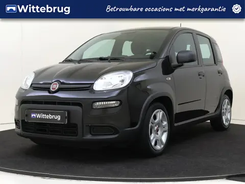 Fiat Panda 1.0 Hybrid (bj 2023)