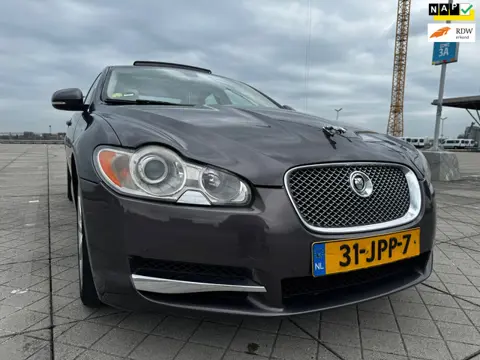 Jaguar XF 3.0D S V6 Portfolio AUT SCHUIFDAK CLIMA CRUISE NAP