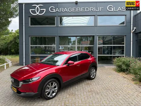 Mazda CX-30 2.0 e-SkyActiv M Hybrid stoel/stuurverw.