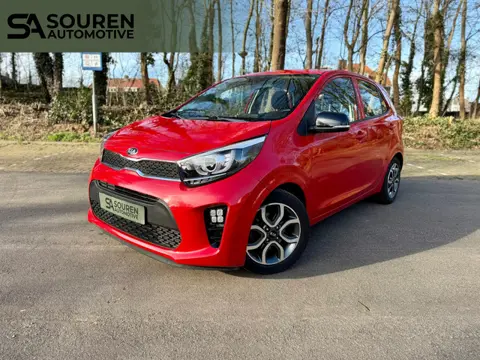 Kia Picanto 1.0 CVVT First Edition / Navi/Carplay/Android/Climate/Cruise controle/leren stuur / Acht