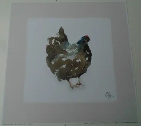 POSTER 33x33 cm DIEREN NIEUW