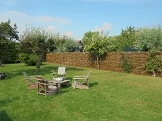 Wilgentakken wilgenstekken wilgenbossen