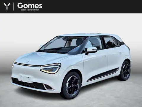 Dongfeng BOX Premium Edition 42 kWh | 360° camera | Adaptieve cruise control | Smartphone integratie