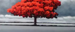 Toni Cimino (1962) - Bellissima giornata