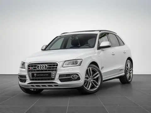 Audi SQ5 3.0 TDI 313pk Quattro Pano Trekhaak Standkachel B&O 21'' Carbon