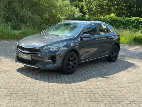 Kia XCeed 1.0 T-GDi DYNAMIC CAMERA I CRUISE I NWE APK I LED I GOED ONDH