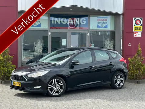 Ford Focus 1.0 Trend Edition | Nieuwe distributie