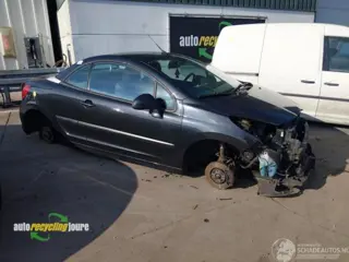 Peugeot 207 Cabrio onderdelen (kleur: EXLB) donorauto