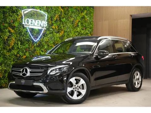 Mercedes-Benz GLC-klasse 250 4MATIC Premium AMG / Pano / Trekhaak / Camera