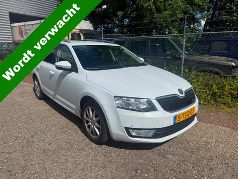 Škoda Octavia Combi 1.6 TDI Greenline Businessline - COMING SOON
