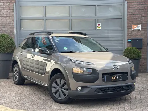 Citroën C4 Cactus 1.6 BlueHDi Shine Netjes onderhouden!!