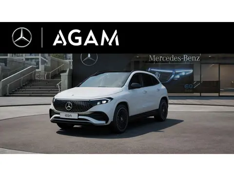 Mercedes-Benz EQA 250+ Business Solution AMG 71 kWh